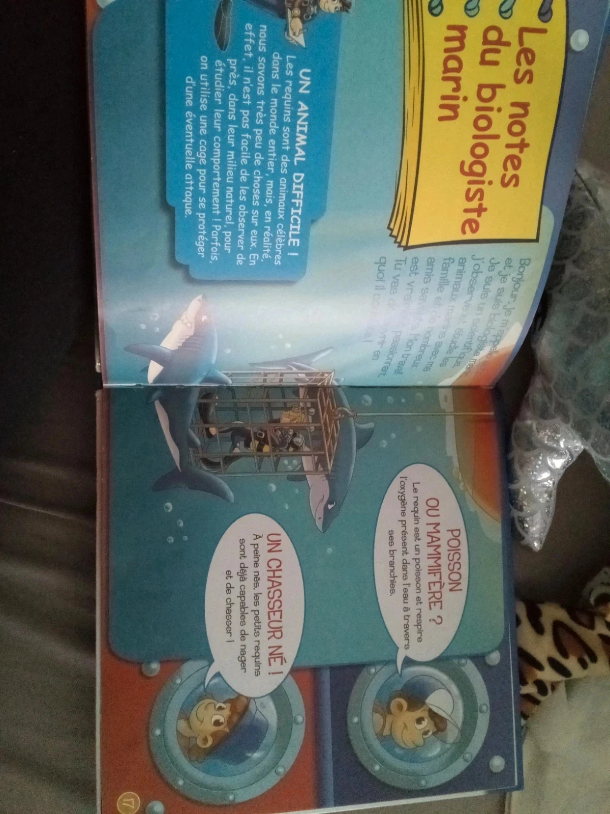 Lot 3 articles requin – photo 7